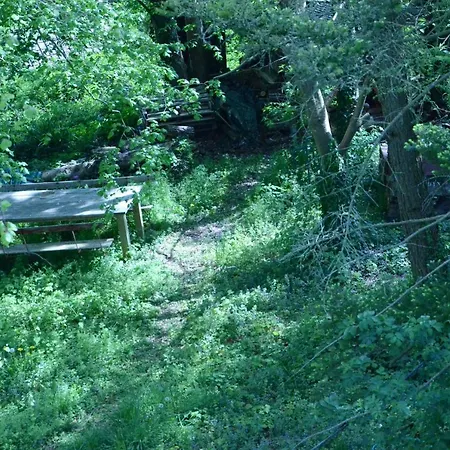 Guest house La Cave Au Chat'pitre / L'etable Villers-le-Bouillet